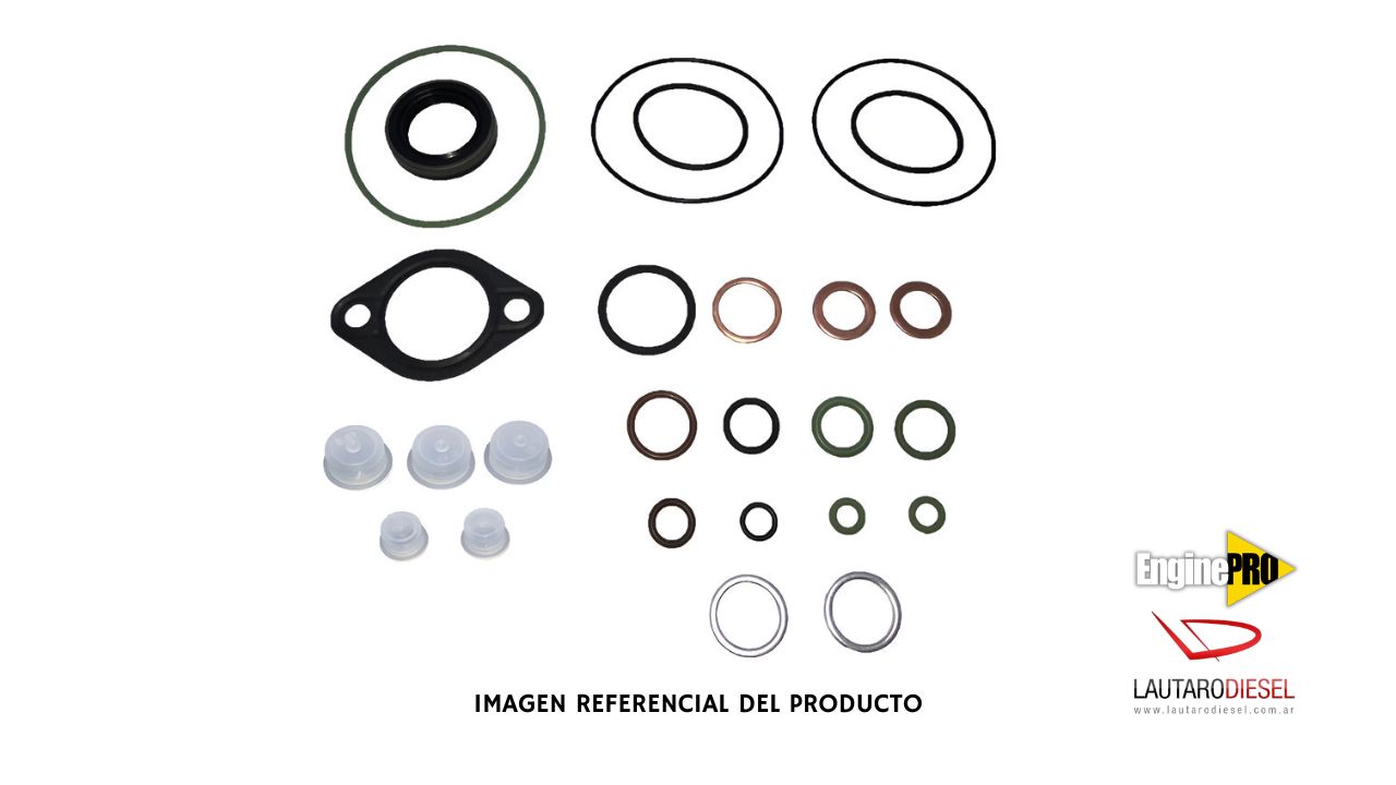 Kit reparo bomba Engine Pro Juego de juntas con reten | 891867