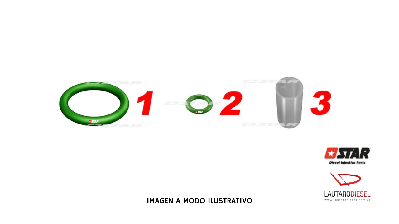 Kit orings externos Star Diesel para CAT 3116-3126 | 60.149/10
