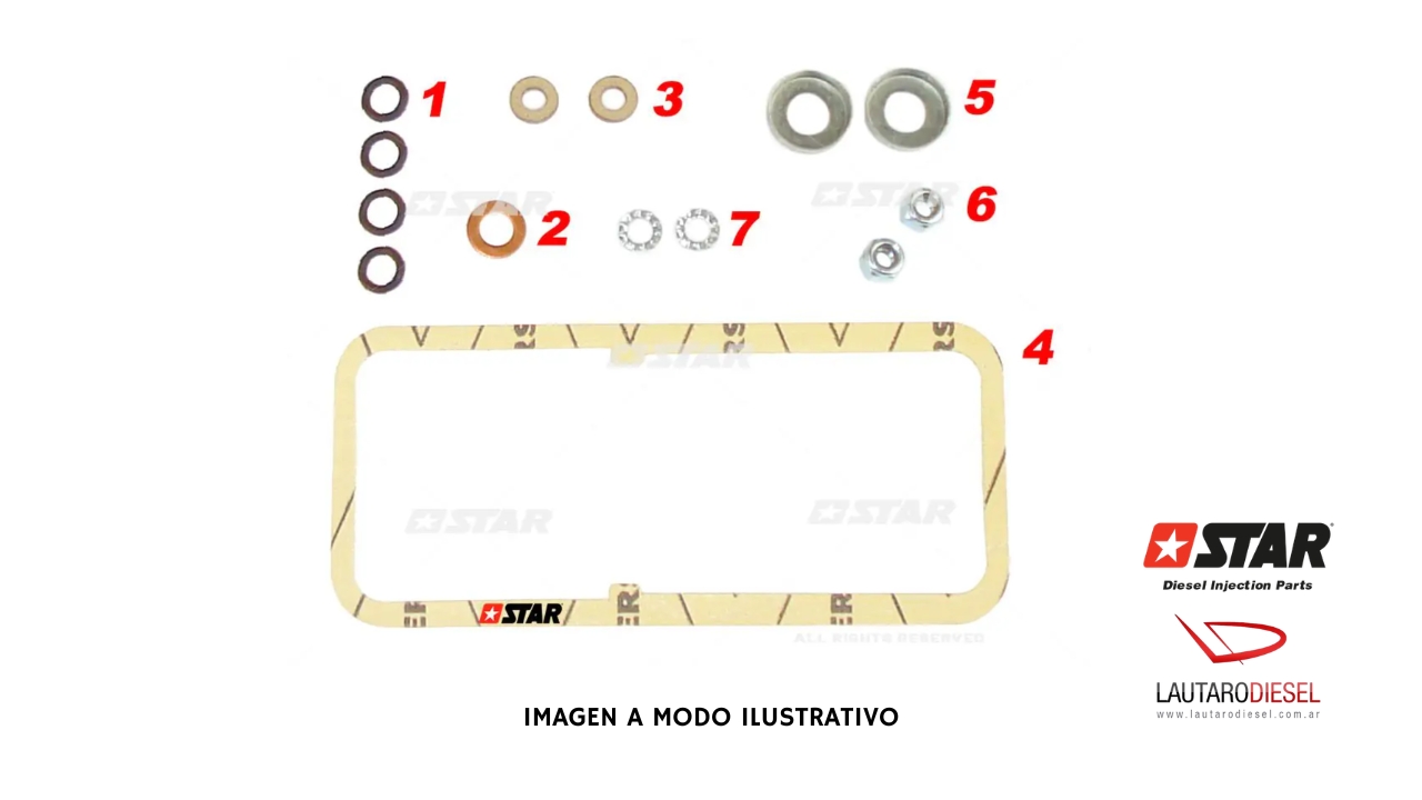 Kit reparo bomba Star Diesel 31493/01