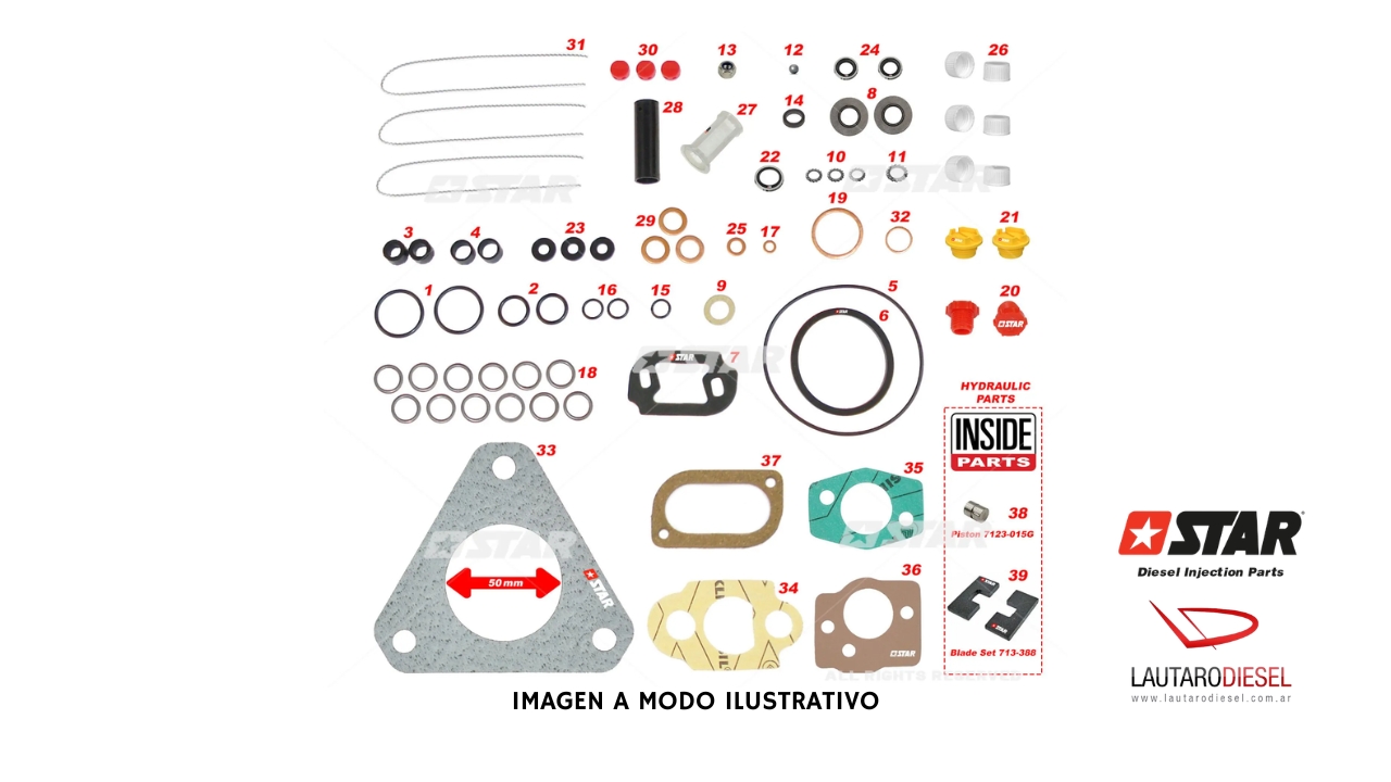 Kit reparo bomba Star Diesel 31506