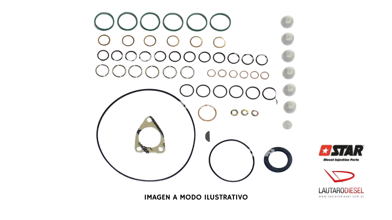 Kit reparo bomba Star Diesel 6 P S/7000 | 31474