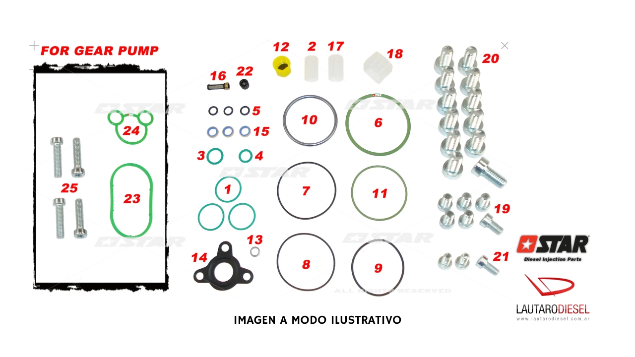 Kit reparo bomba Star Diesel CP1H CP1H3 | 60096/39