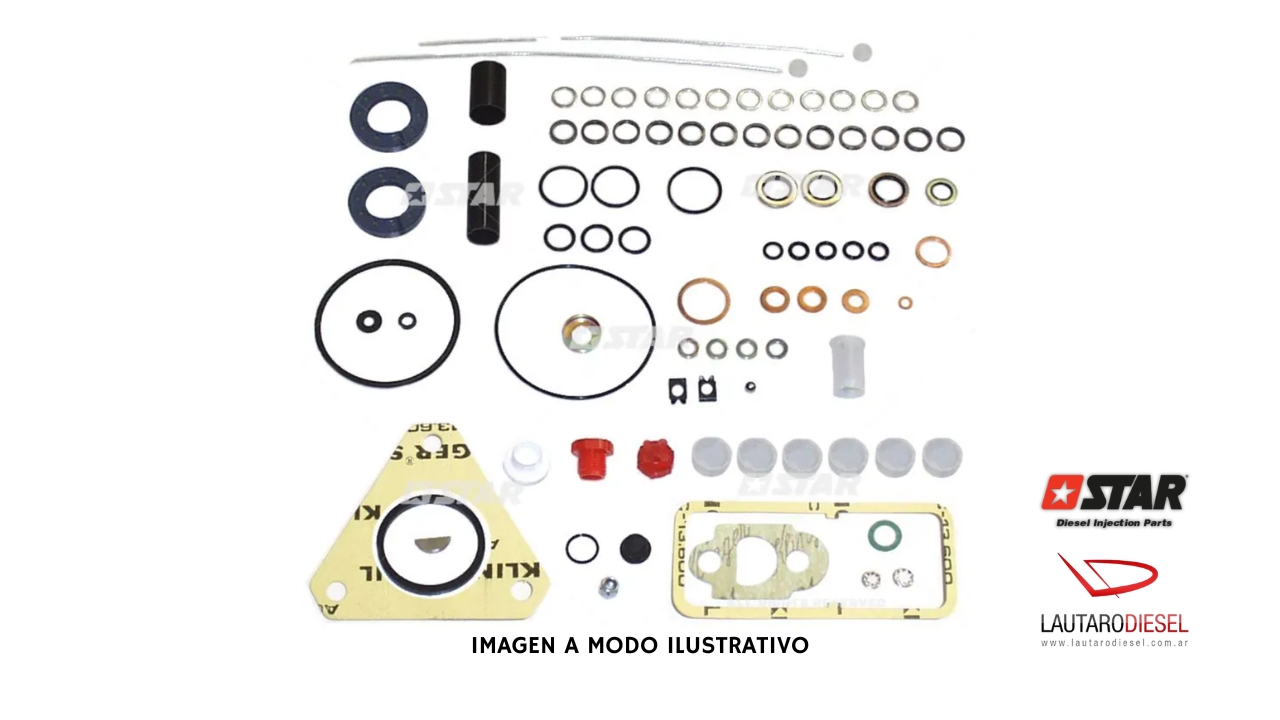Kit reparo bomba Star Diesel Delphi DPS Perkins | 31539