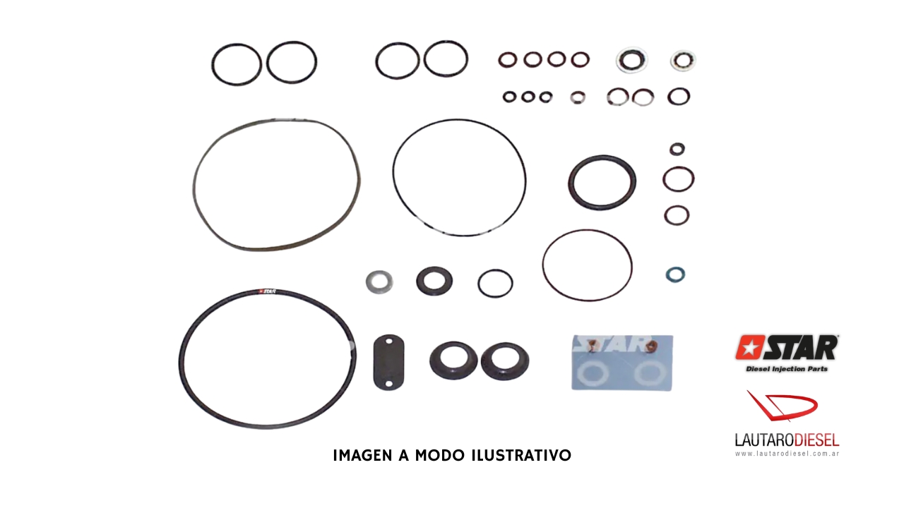 Kit reparo bomba Star Diesel Stanadyne DB2 31498/03