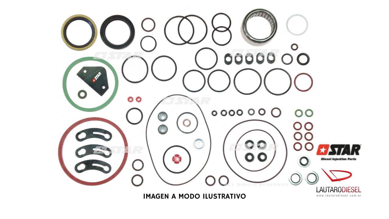 Kit reparo bomba Star Diesel Stanadyne DB4 31498/08
