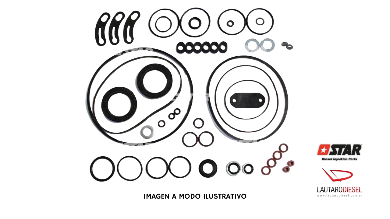 Kit reparo bomba Star Diesel Stanadyne DM 31498/04