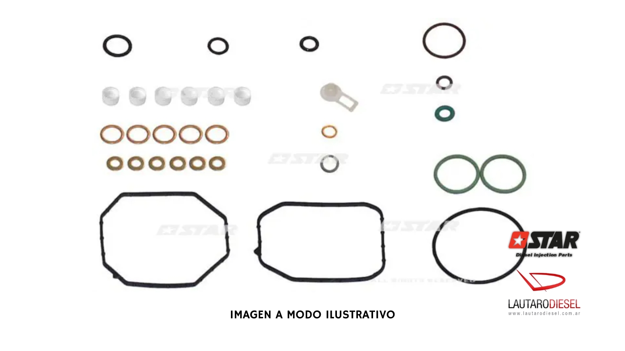 Kit reparo bomba Star Diesel VE/EDC 31542