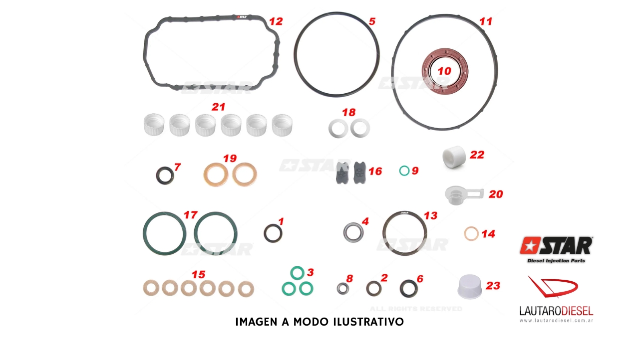 Kit reparo bomba Star Diesel VE con reten M20x31x7 | 60055