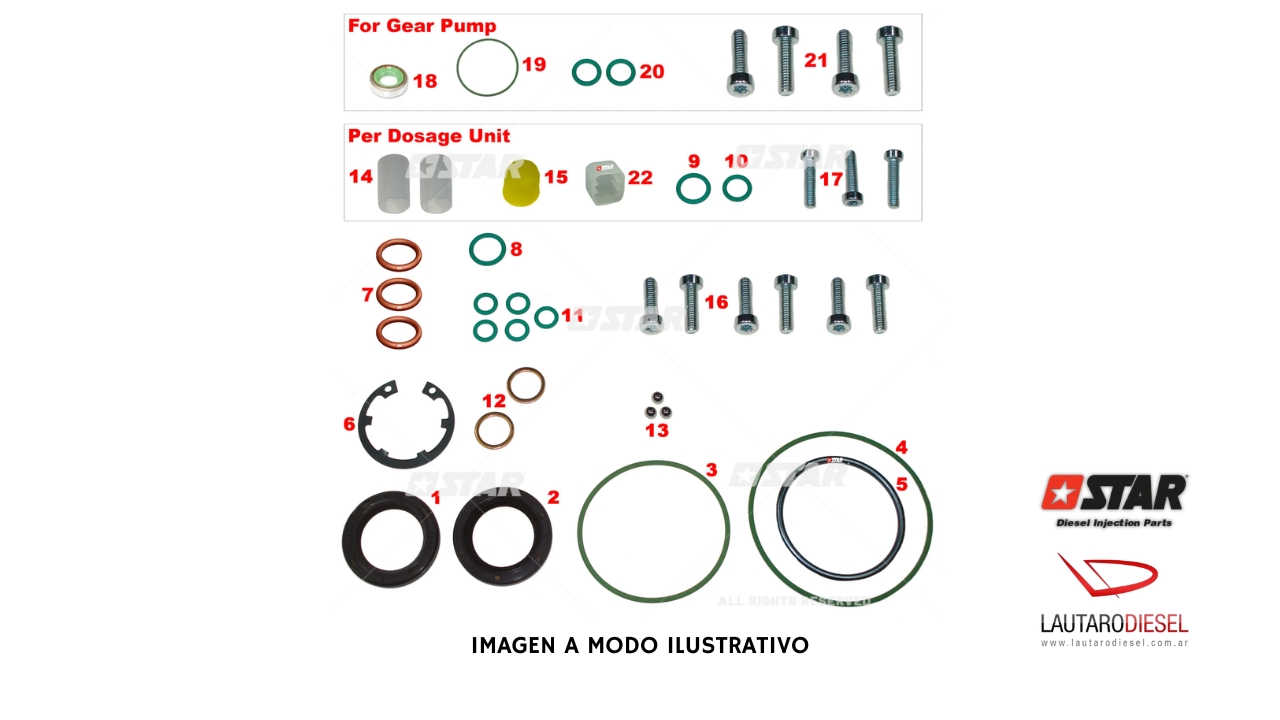 Kit reparo bomba Star Diesel | 60192