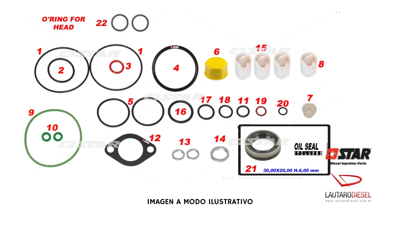 Kit reparo bomba Star Diesel | reten (30x20x6mm) de eje para Denso S10 Duramax | 60166/07