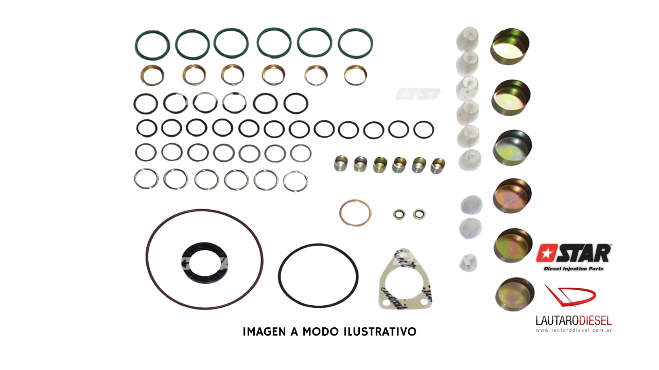 Kit reparo bomba Star Diesel serie P 7100-7800 | 31475