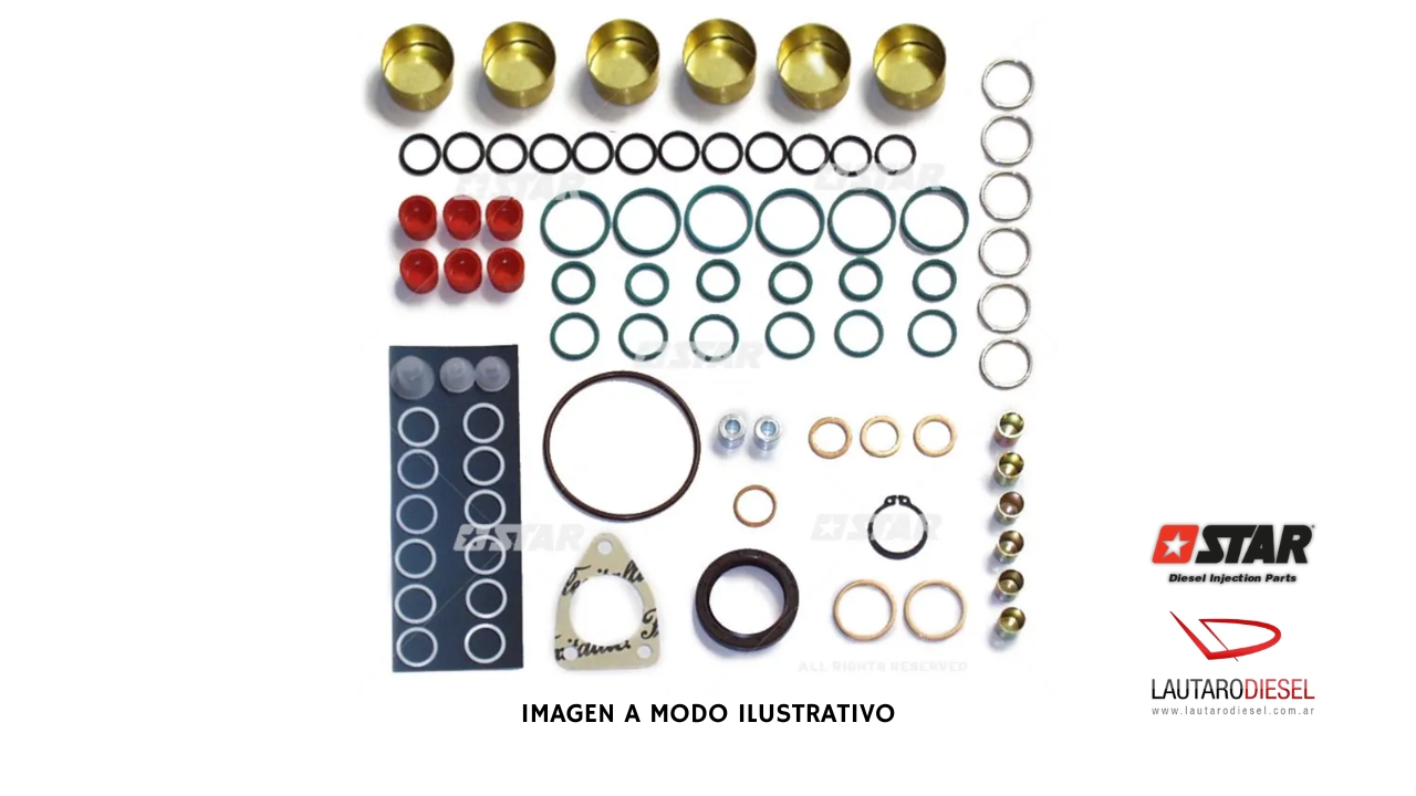 Kit reparo bomba Star Diesel serie P 8000 | 31532