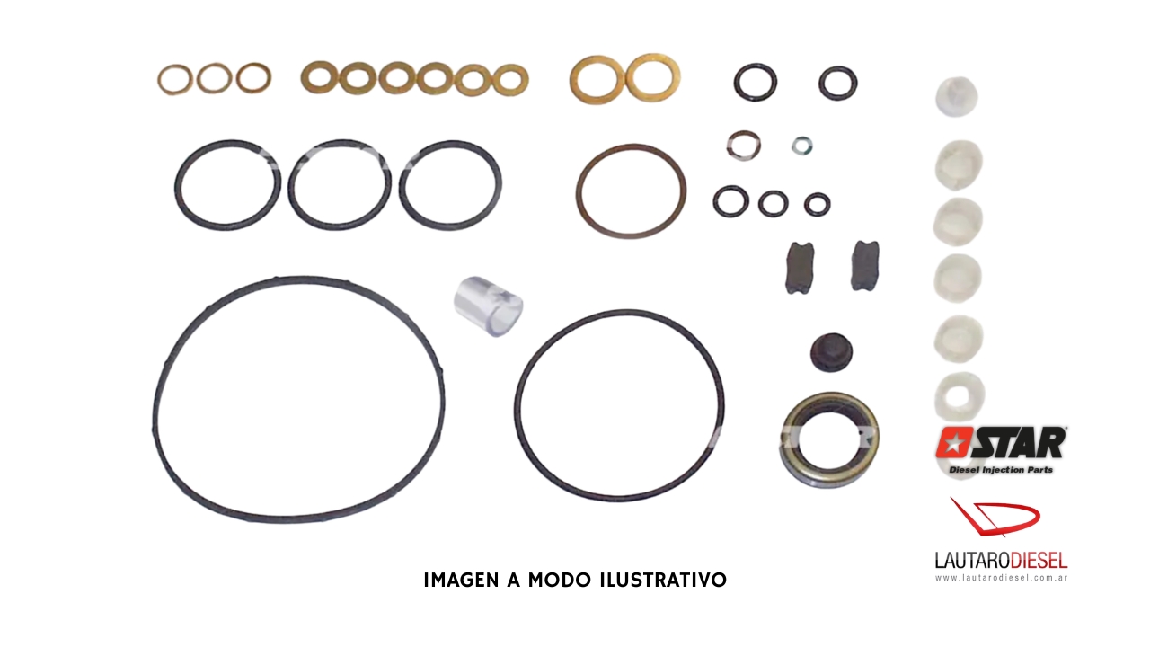 Kit reparo bomba Star Diesel tipo VE 20X31X7 31490