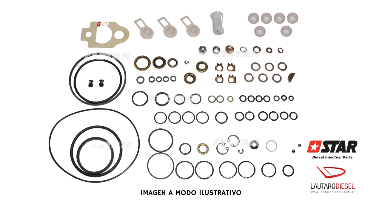 Kit reparo bomba Star Diesel 60110